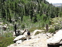 A little climb up to Blue Bottle saddle