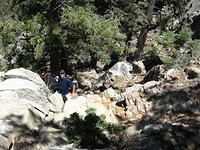 Rocky, steep first section of Blue Bottle traverse